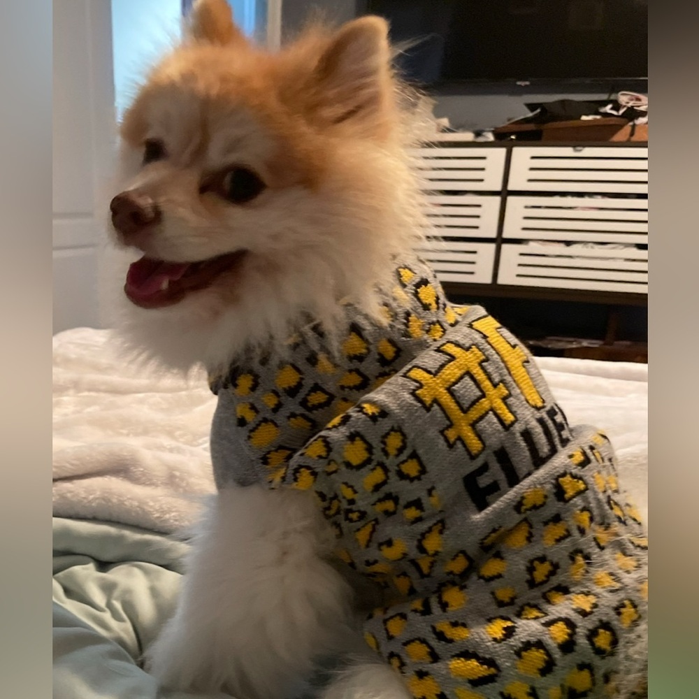 #FurFluencer Dog Sweater Size Medium
